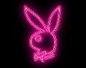 playmate