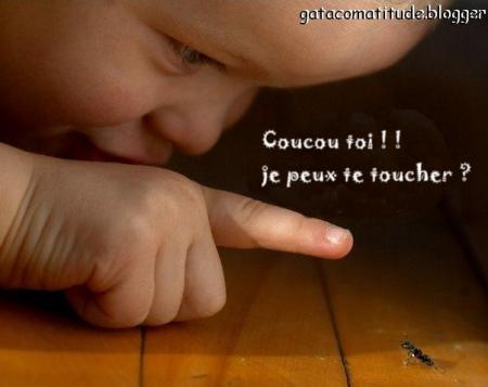 bébé