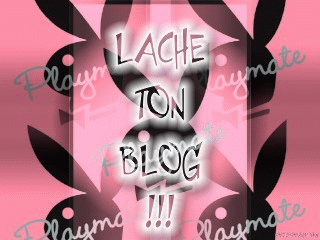 ton blog