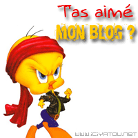 ta aimé mon blog ???